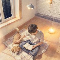 温柔男声·晚安，沉浸哄睡