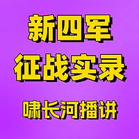 新四军征战实录