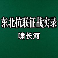 东北抗联征战实录