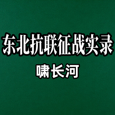 东北抗联征战实录
