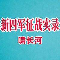 新四军征战实录