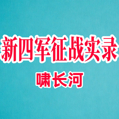 新四军征战实录