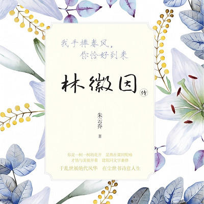林徽因传|民国风流人物