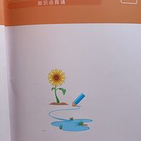 教育教学知识与能力-背诵知识点