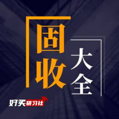 固定收益产品投资大全