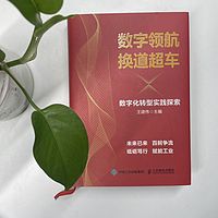数字领航 换道超车