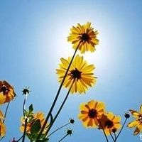 做人，不能太飘