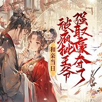 和亲当日，被疯批王爷强取豪夺（古言追妻）