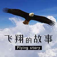 飞翔的故事