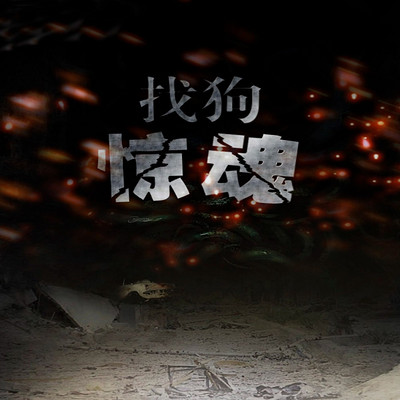找狗惊魂