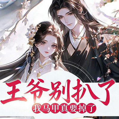 王爷别扒了，我马甲真要掉了