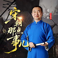 宋朝那点事儿