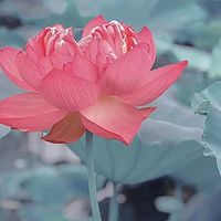 初中历史知识点