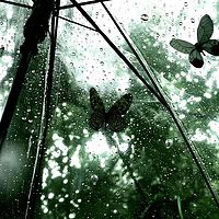 雨天playlist