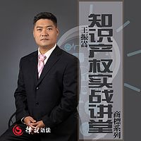 王振嵩律师知识产权实战讲堂之商标系列