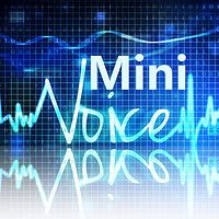 Mini Voice