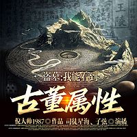 盗墓：我能看到古董属性