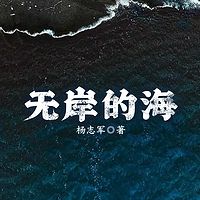 无岸的海丨雪山大地杨志军作丨全国凶杀案