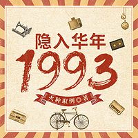 隐入华年1993|都市重生&年代致富多人