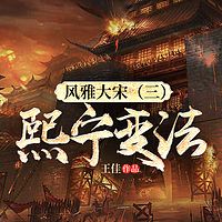风雅大宋（三）：熙宁变法|宋史必读官场