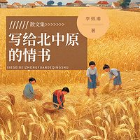 写给北中原的情书|《大染坊》同款|茅奖