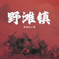 野滩镇|谍战&热血刺激|抗日战争