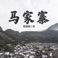 马家寨|关中匪事系列|《白鹿原》同款