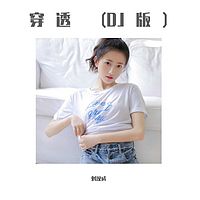 刘汉成：穿透（DJ版）