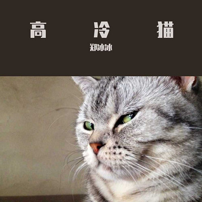 郑冰冰：高冷猫