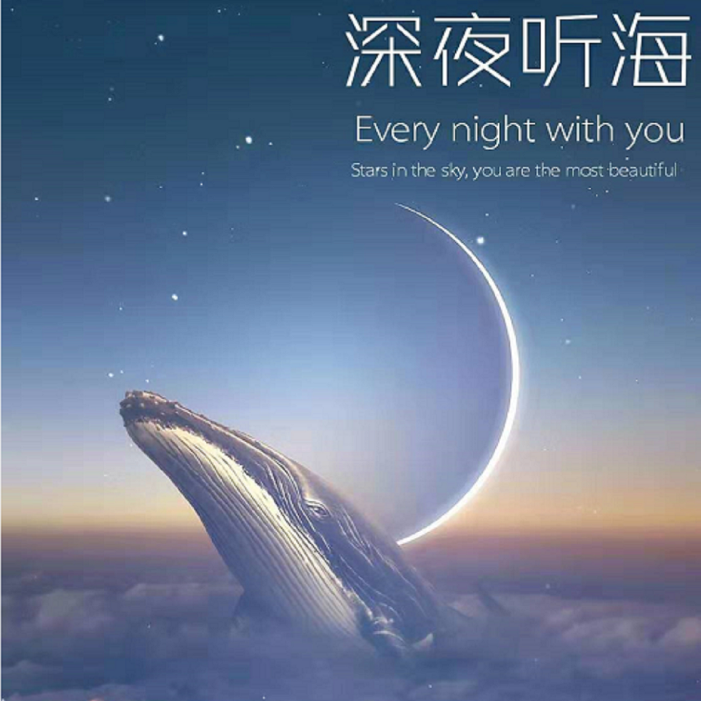 深夜听海 ┃ 此后每晚伴你入睡