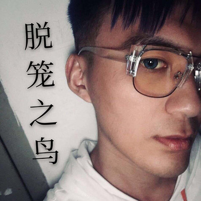脱笼之鸟