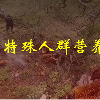 特殊人群营养