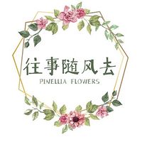 往事随风去