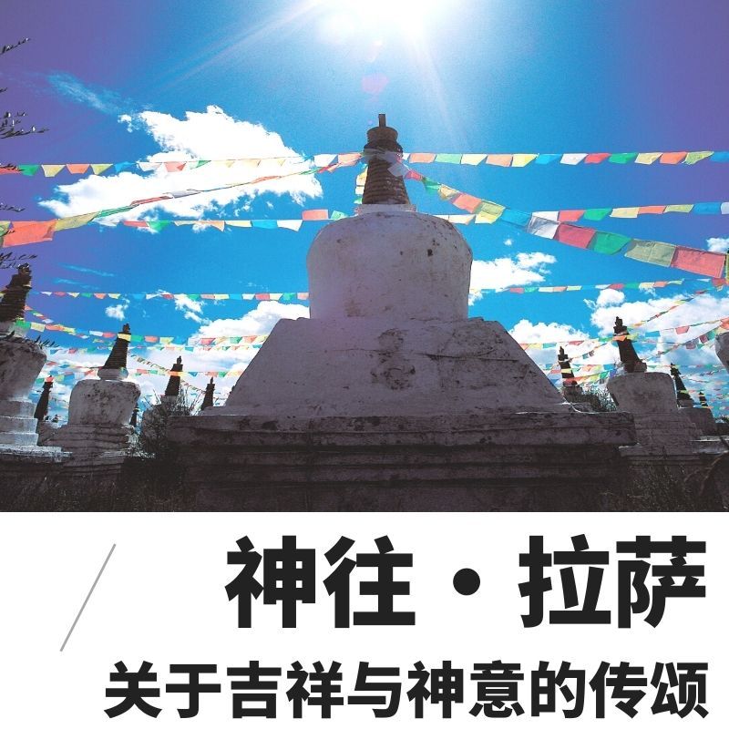 城市丨漫步丨神往·拉萨