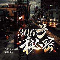 306号秘密