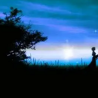 人生不易  找个队友同舟共济