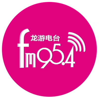 FM954龙游电台连线