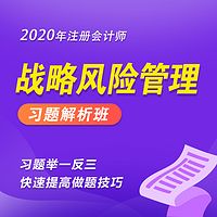 2020年注册会计师|CPA战略习题班