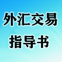 外汇交易指导书