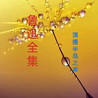 鲁迅全集