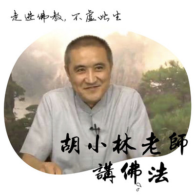 胡小林老师讲佛法