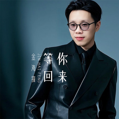 金海锋歌曲车载音乐专辑《等你回来》
