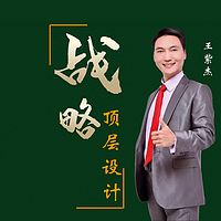 王紫杰丨战略顶层设计全集