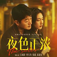 夜色正浓(江疏影、佟大为等主演电视剧)