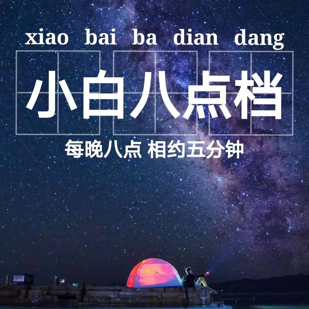 小白八点档