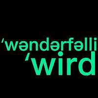 WonderfullyWeird奇妙怪异