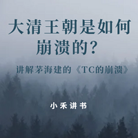 《TC的崩溃》｜小禾讲书：大清王朝的崩溃