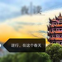 逆行，在这个春天