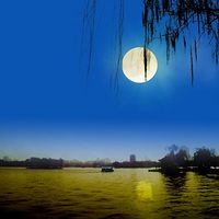 何怀云：月光落在左手上