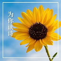 为你读诗
